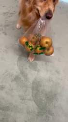 1090631 B