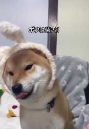 7678469 B