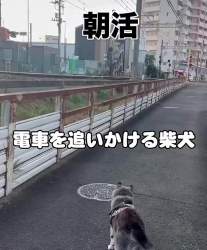 6074905 B