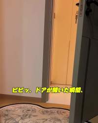 3659362 B