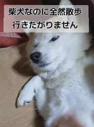2788578 B