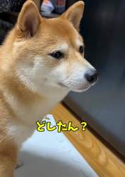 7699820 B
