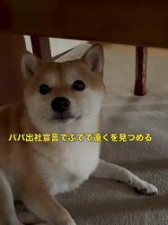 2466771 B