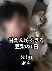 7765477 B