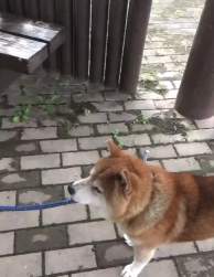 2069892 B