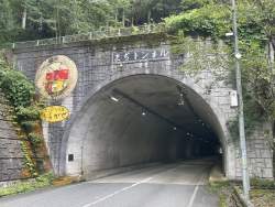 811677 B