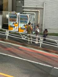 5364549 B