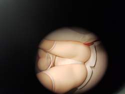 3687245 B