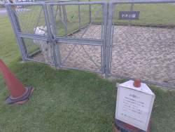 5162449 B