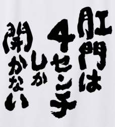 46633 B