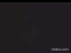 6985655 B