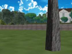 1036798 B