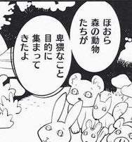 23681 B