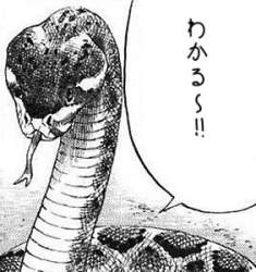 42692 B