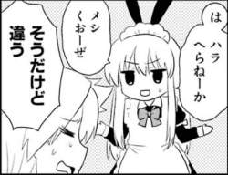 145966 B