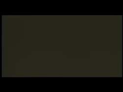 8159568 B