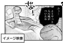 294271 B