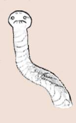 21167 B