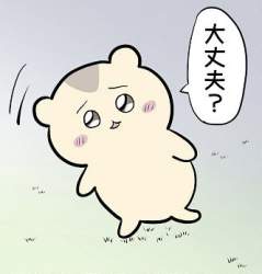 44204 B
