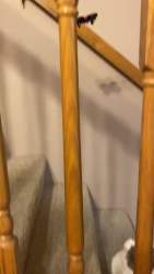 2642093 B