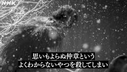 275567 B