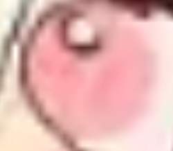 23397 B