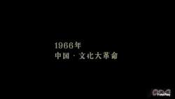 4580236 B