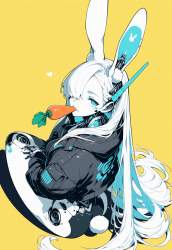 955118 B