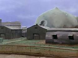 8118466 B