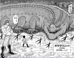 96606 B