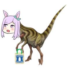 23442 B