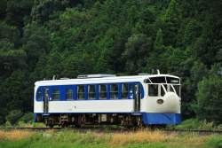 294570 B