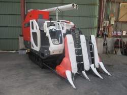 84198 B