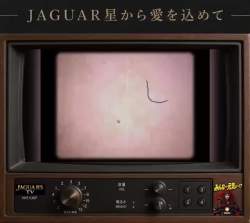2132839 B