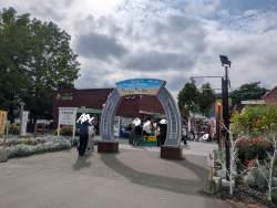 3484537 B