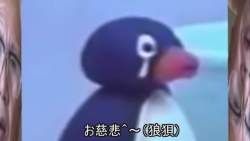 51882 B