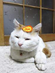 76963 B