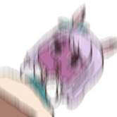 23843 B