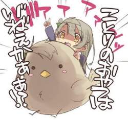 25663 B