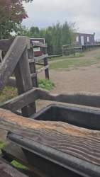 1259735 B