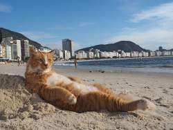 64000 B