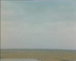 3022253 B
