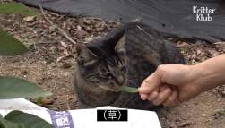 252389 B