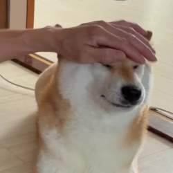 1830567 B