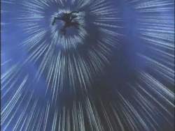 7111711 B