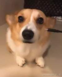 133668 B