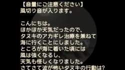 8060374 B