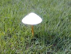 192972 B