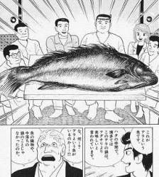 55666 B