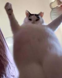 130393 B